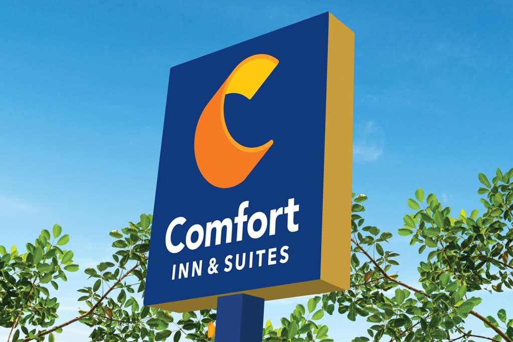 Best Western Plus Carrollton Exterior foto